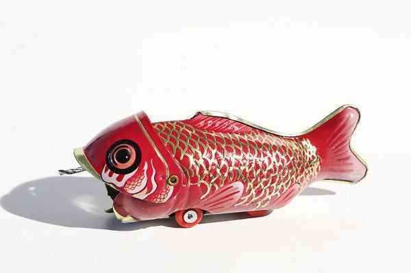Fish eating Fish